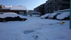１月の大雪